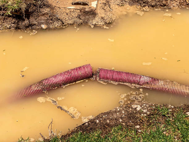 Best Water damage contractors near me  in Steele Creek, AK