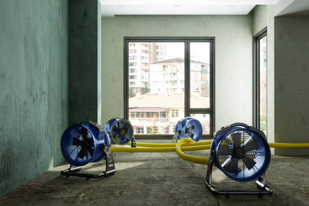 Best Local water damage restoration  in Steele Creek, AK